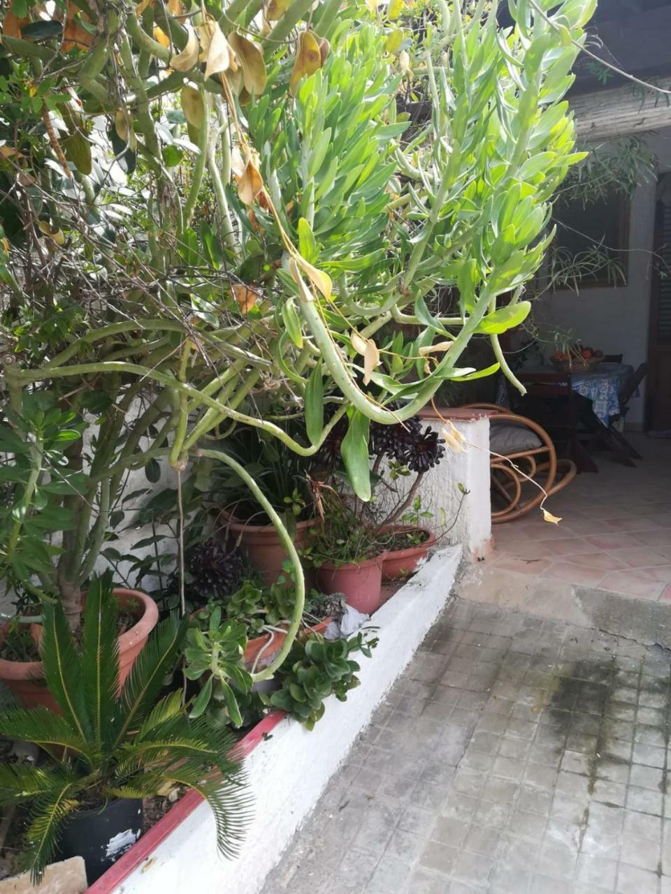 Le Case Di Vito Favignana Bagian luar foto
