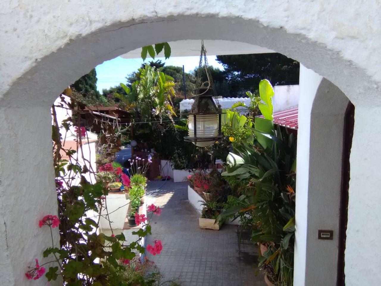 Le Case Di Vito Favignana Bagian luar foto